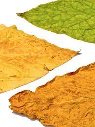 Tobacco