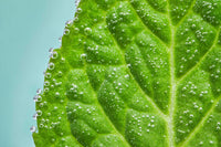 Menthol Plus - 18mg/ml